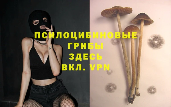 прущая мука Алексеевка